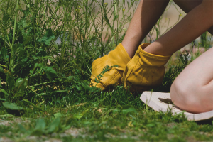 Come sbarazzarsi di erbacce in giardino