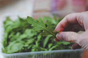 Come far crescere la rucola sul davanzale di una finestra