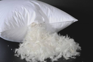 Comment laver un oreiller en plumes