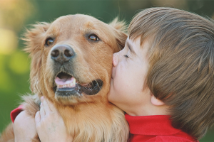 Cómo persuadir a los padres para que compren un perro