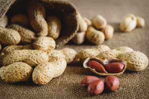 Cara menanam kacang tanah di kebun