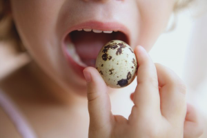 Cómo cocinar huevos de codorniz para un niño