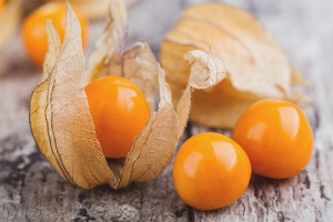 I benefici e i danni di Physalis