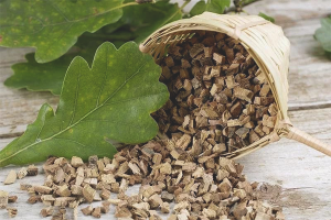 Come fare la corteccia di quercia