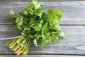 Los beneficios y daños del cilantro