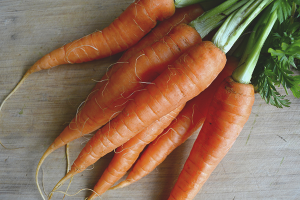 Les avantages et les inconvénients des carottes