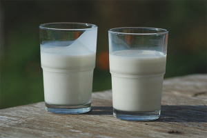 Los beneficios y daños del suero de leche