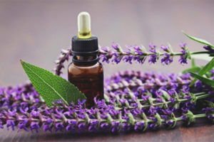 Come prendere la salvia in menopausa e vampate di calore