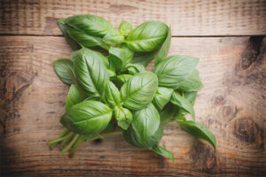 Basil pendant la grossesse