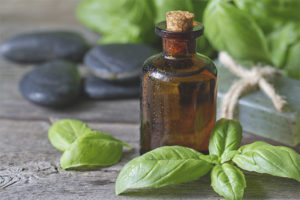 Olio essenziale di basilico