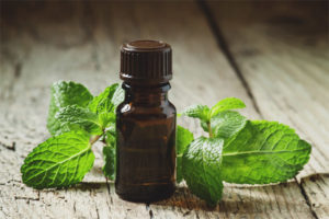 Peppermint essential oil