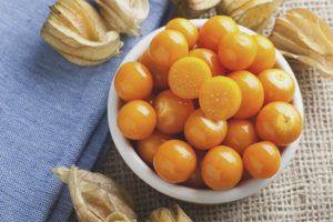 Propriétés et contre-indications utiles de Physalis