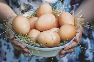 Le donne incinte possono mangiare le uova