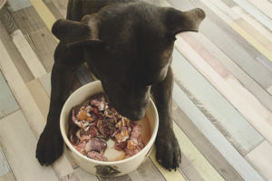 Cara memberi makan anjing dengan makanan semula jadi