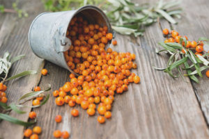 Cómo cocinar espino amarillo para el invierno