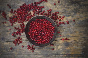 Lingonberry para resfriados