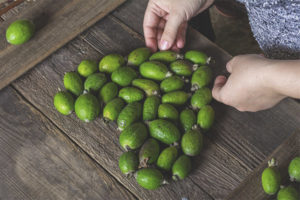 Como elegir una feijoa