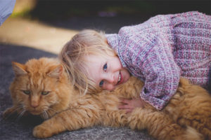 Quelle race de chats choisir pour un enfant