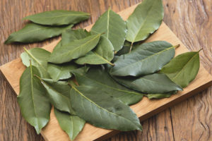 ¿Qué es útil la hoja de laurel?