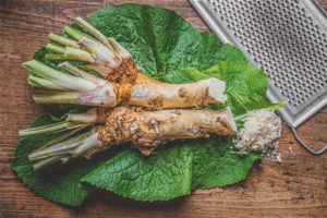 Horseradish leaves