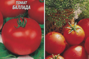 Balada de tomate