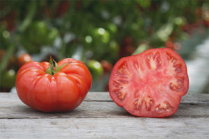 Filete De Ternera Tomate