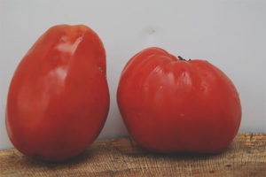 Tomate Bochata