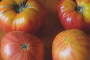 Tomate Big Rainbow