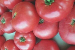 Tomate Postre Rosa