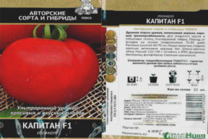 Tomate Captain F1