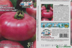 Belle tomate charnue