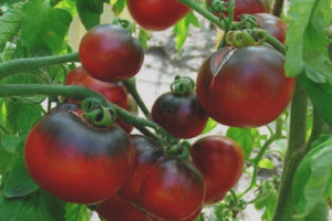 Charbon de bois rouge tomate