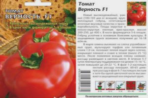 Tomate Fidelity F1