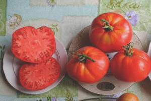 Tomate Vova Poutine