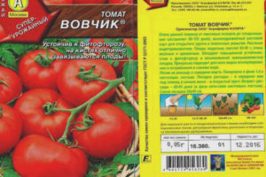 Tomate Vovchik