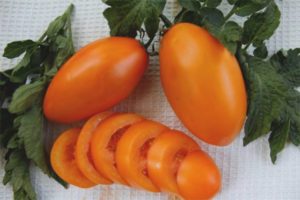 Tomate Golden Stream