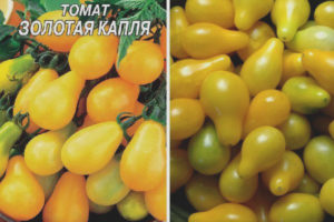 Tomate Golden Drop