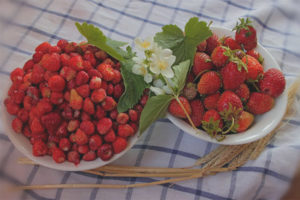 Apakah perbezaan antara strawberi dan strawberi