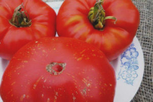 Fuegos artificiales de tomate