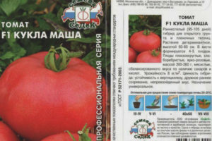 Poupée de tomate Masha