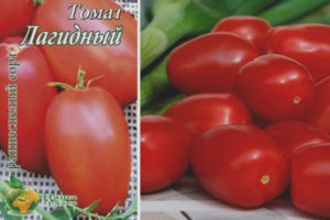 Tomate Lagidny