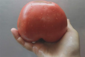 Tomate Leningrado Gigante