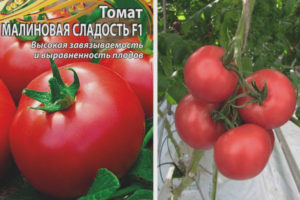 Tomate Framboise Douce F1