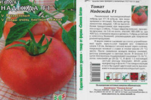 Tomate Nadezhda F1