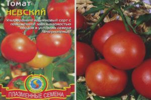 Tomate Nevsky