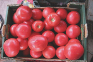 Solución rosada de tomate