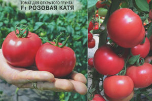 Tomate Rosa Katya F1