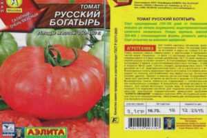 Héros russe de tomate