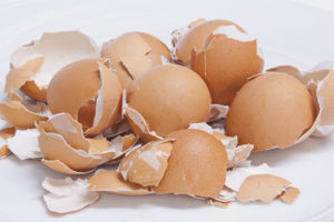 Egg shell as a source of calcium