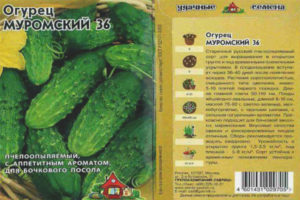 Murom pepino 36